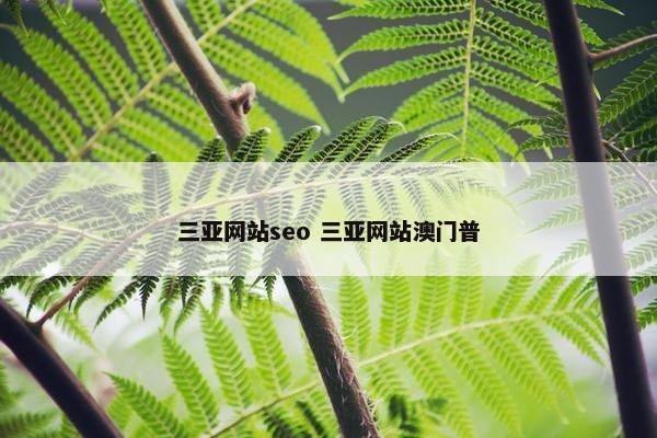 三亚网站seo 三亚网站澳门普