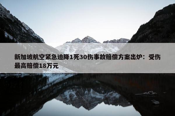 新加坡航空紧急迫降1死30伤事故赔偿方案出炉：受伤最高赔偿18万元