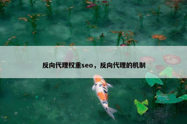 反向代理权重seo，反向代理的机制