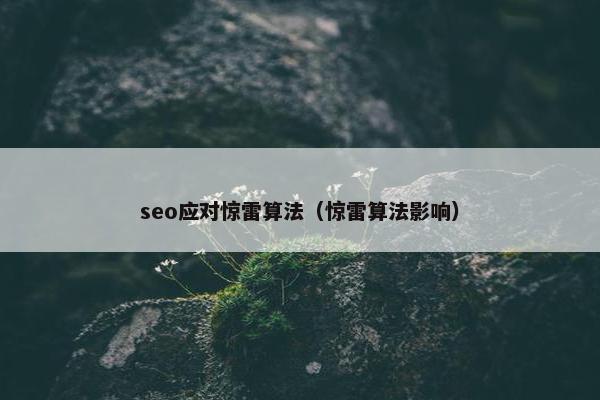 seo应对惊雷算法（惊雷算法影响）