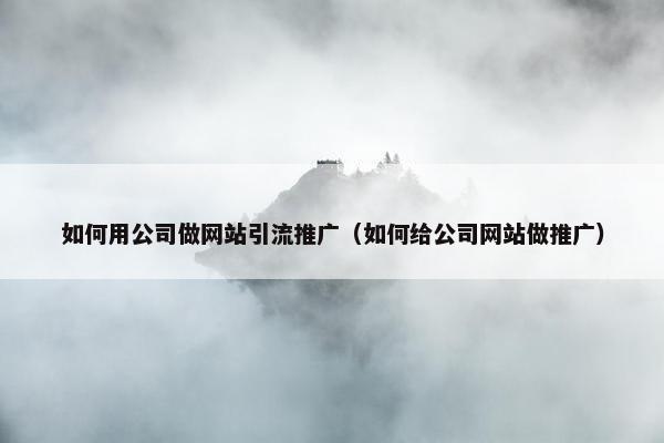 如何用公司做网站引流推广（如何给公司网站做推广）