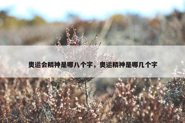 奥运会精神是哪八个字，奥运精神是哪几个字