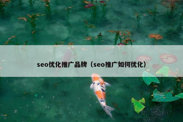 seo优化推广品牌（seo推广如何优化）