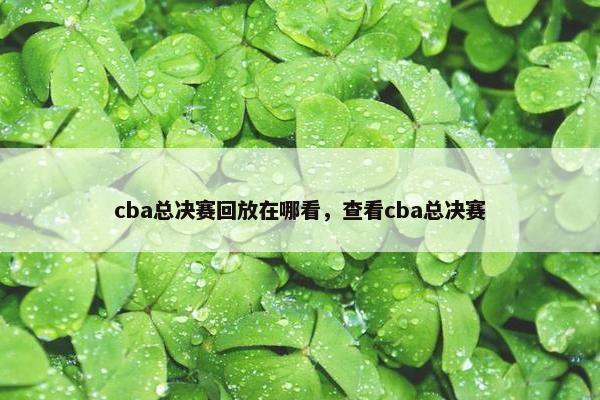 cba总决赛回放在哪看，查看cba总决赛