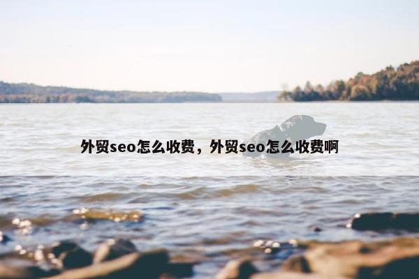 外贸seo怎么收费，外贸seo怎么收费啊