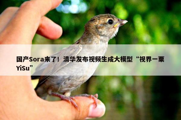 国产Sora来了！清华发布视屏生成大模型“视界一粟YiSu”