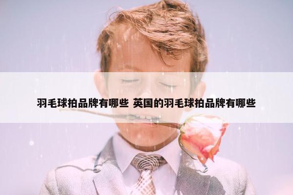 羽毛球拍品牌有哪些 英国的羽毛球拍品牌有哪些