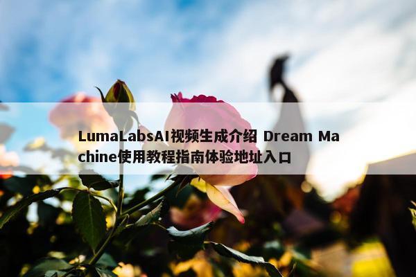 LumaLabsAI视屏生成介绍 Dream Machine使用教程指南体验地址入口