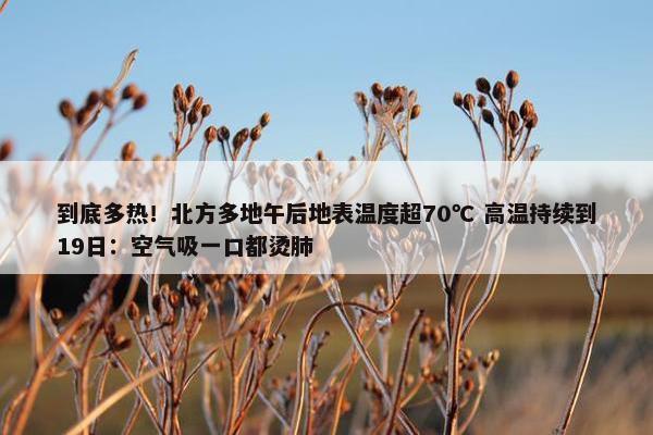 到底多热！北方多地午后地表温度超70℃ 高温持续到19日：空气吸一口都烫肺