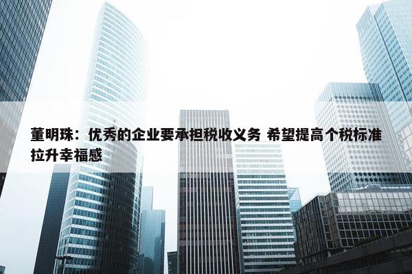 董明珠：优秀的企业要承担税收义务 希望提高个税标准拉升幸福感