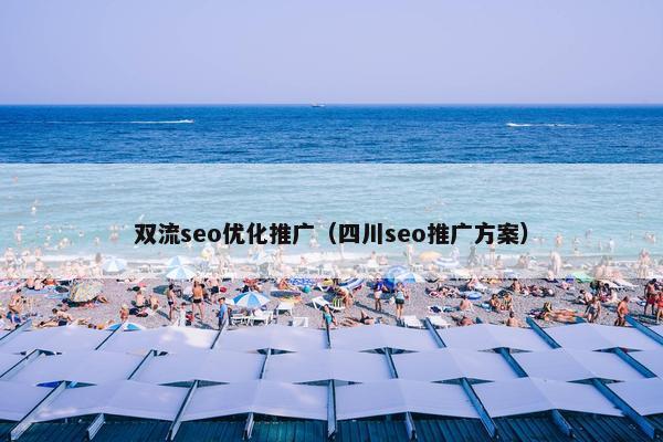 双流seo优化推广（四川seo推广方案）