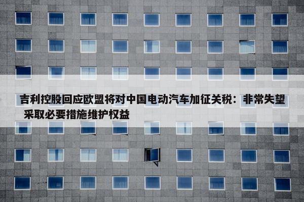 吉利控股回应欧盟将对中国电动汽车加征关税：非常失望 采取必要措施维护权益