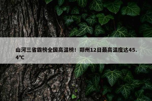 山河三省霸榜全国高温榜！郑州12日最高温度达45.4℃