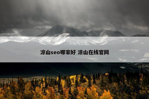 凉山seo哪家好 凉山在线网页