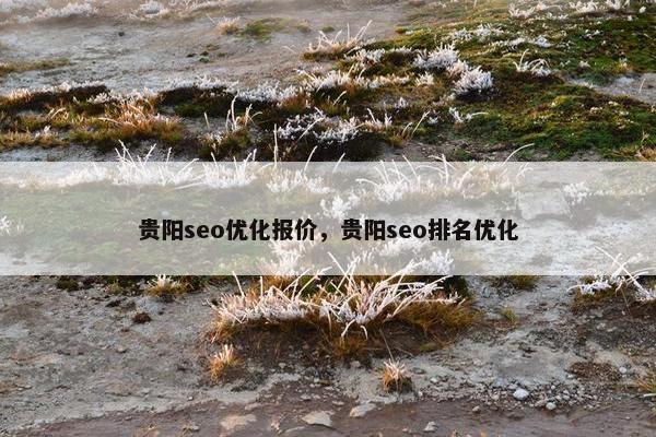 贵阳seo优化报价，贵阳seo排名优化