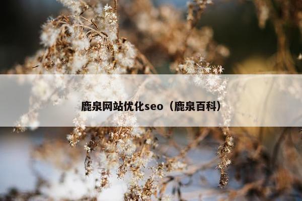 鹿泉网站优化seo（鹿泉百科）