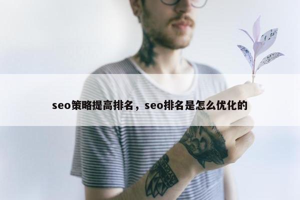 seo策略提高排名，seo排名是怎么优化的