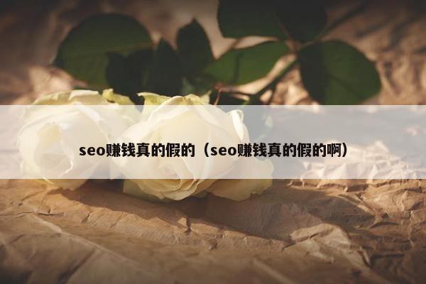 seo赚钱真的假的（seo赚钱真的假的啊）