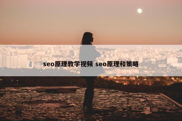 seo原理教学视屏 seo原理和策略