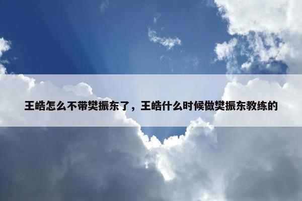 王皓怎么不带樊振东了，王皓什么时候做樊振东教练的