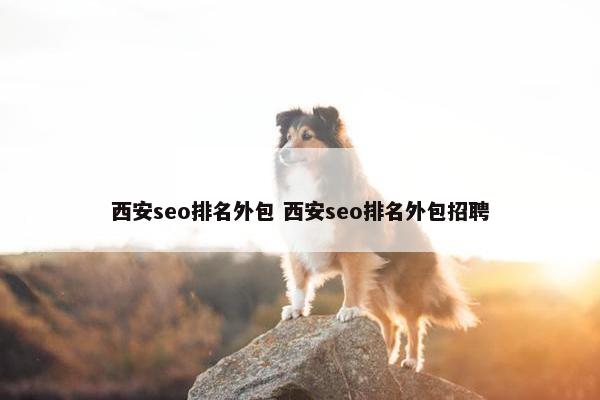 西安seo排名外包 西安seo排名外包招聘