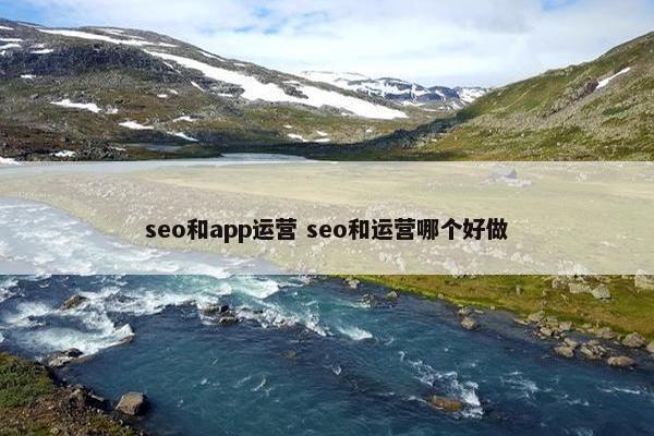 seo和app运营 seo和运营哪个好做