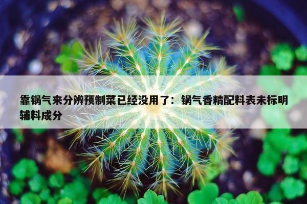 靠锅气来分辨预制菜已经没用了：锅气香精配料表未标明辅料成分