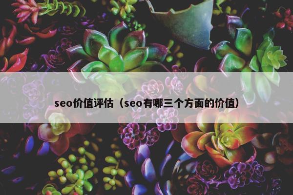 seo价值评估（seo有哪三个方面的价值）