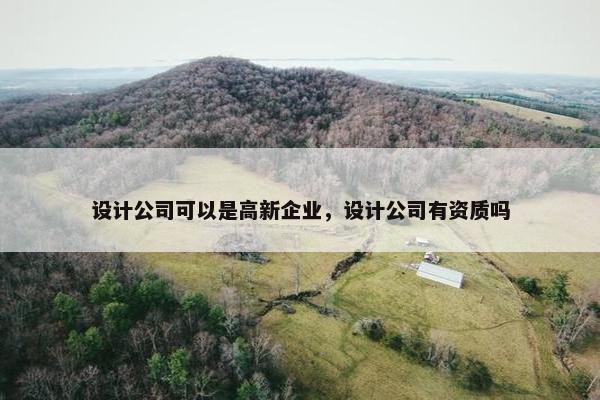 设计公司可以是高新企业，设计公司有资质吗