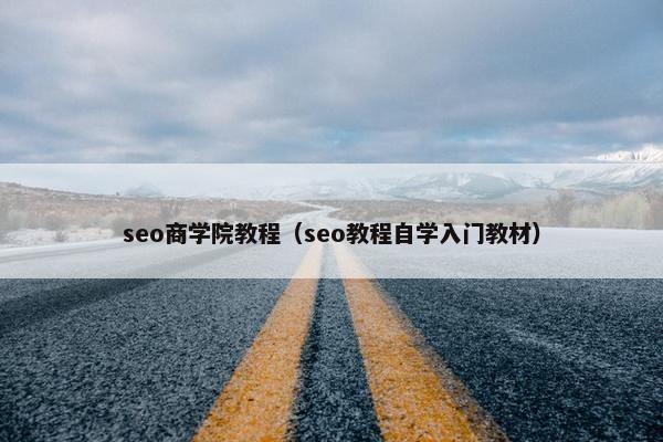 seo商学院教程（seo教程自学入门教材）