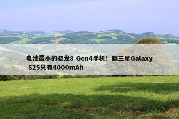 电池最小的骁龙8 Gen4手机！曝三星Galaxy S25只有4000mAh