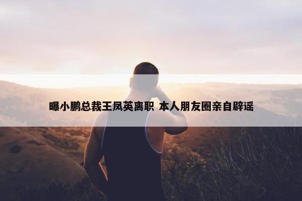 曝小鹏总裁王凤英离职 本人朋友圈亲自辟谣