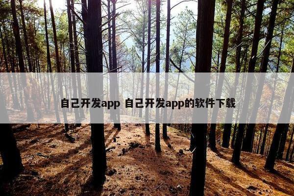 自己开发app 自己开发app的软件获取