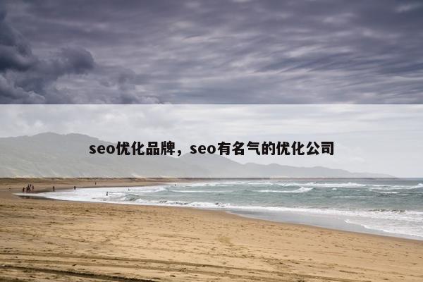 seo优化品牌，seo有名气的优化公司