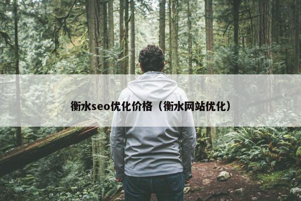 衡水seo优化价格（衡水网站优化）