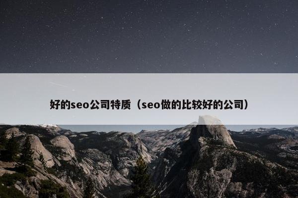 好的seo公司特质（seo做的比较好的公司）