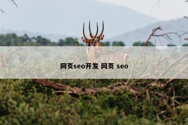 网页seo开发 网页 seo