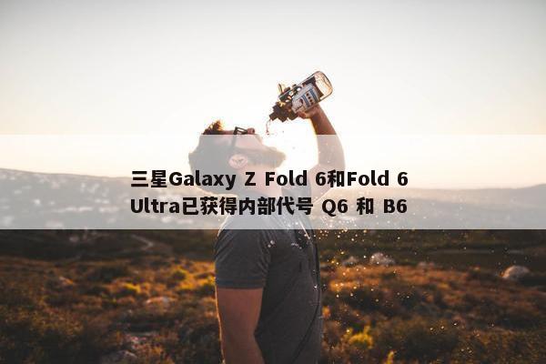 三星Galaxy Z Fold 6和Fold 6 Ultra已获得内部代号 Q6 和 B6