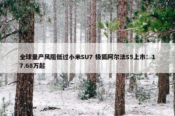 全球量产风阻低过小米SU7 极狐阿尔法S5上市：17.68万起