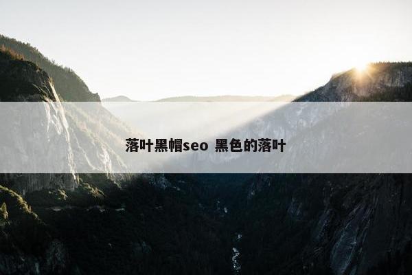 落叶黑帽seo 黑色的落叶