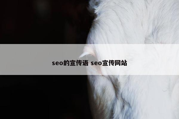 seo的宣传语 seo宣传网站