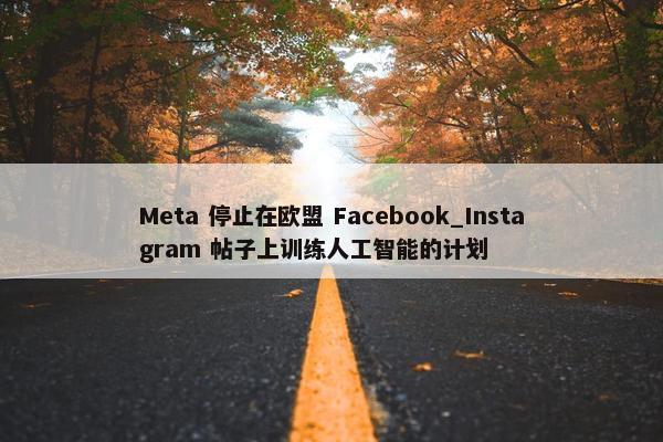 Meta 停止在欧盟 Facebook_Instagram 帖子上训练人工智能的计划