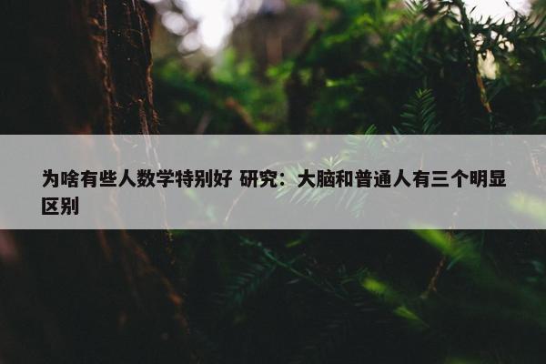 为啥有些人数学特别好 研究：大脑和普通人有三个明显区别