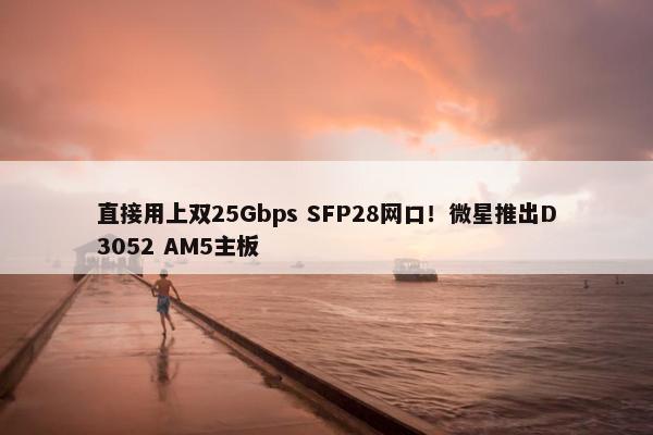 直接用上双25Gbps SFP28网口！微星推出D3052 AM5主板