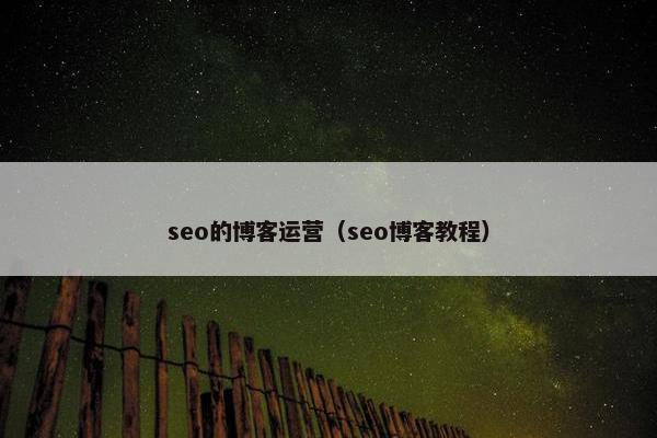 seo的博客运营（seo博客教程）