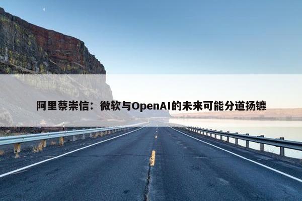 阿里蔡崇信：微软与OpenAI的未来可能分道扬镳