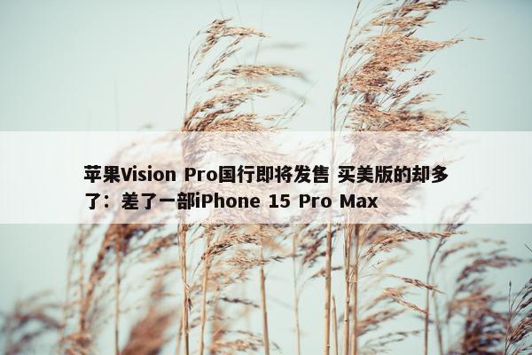 苹果Vision Pro国行即将发售 买美版的却多了：差了一部iPhone 15 Pro Max