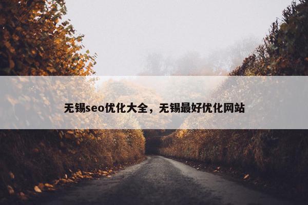 无锡seo优化大全，无锡最好优化网站