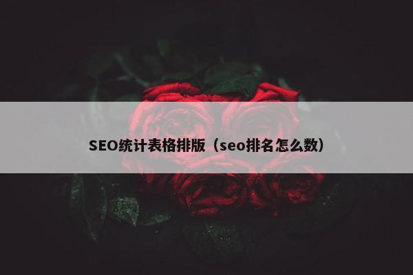 SEO统计表格排版（seo排名怎么数）