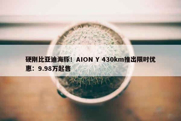 硬刚比亚迪海豚！AION Y 430km推出限时优惠：9.98万起售